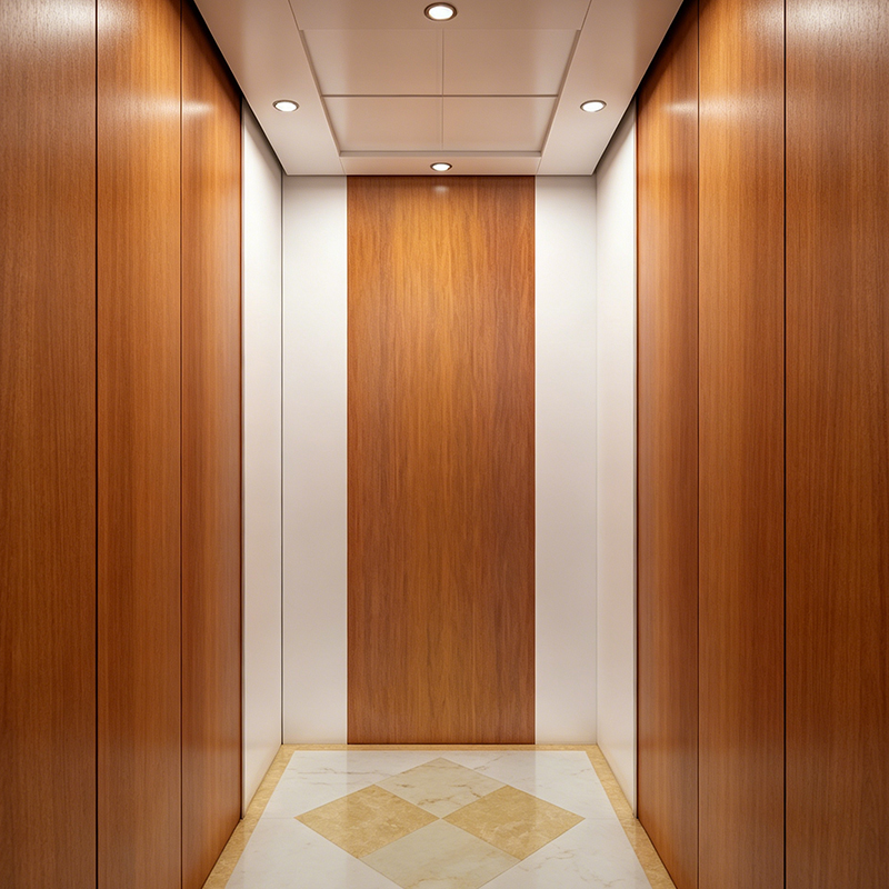Enkelt Design Komfurlak Stålplade Hjem Villa Elevator